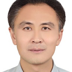 由松