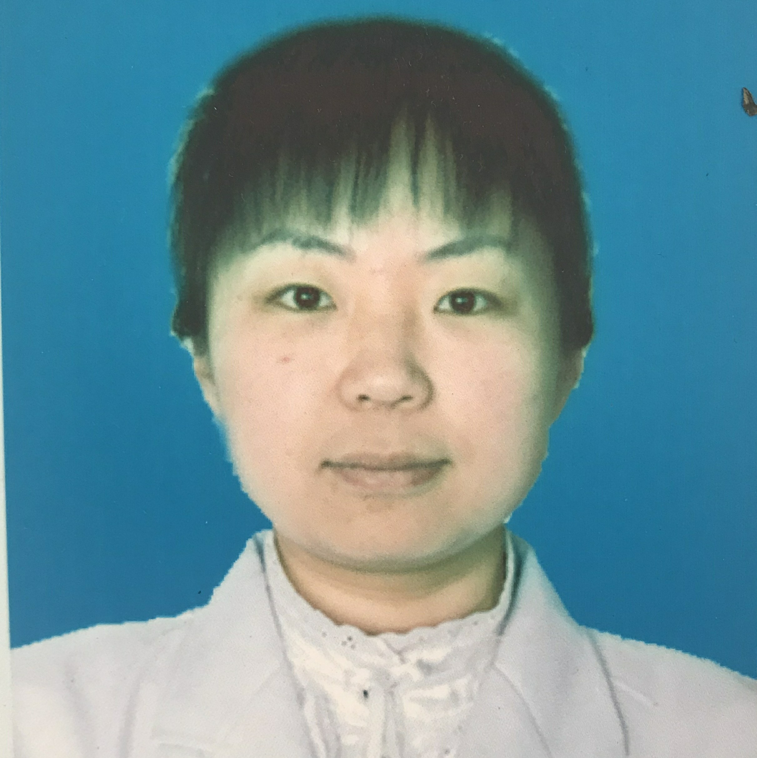 鲍丽丽