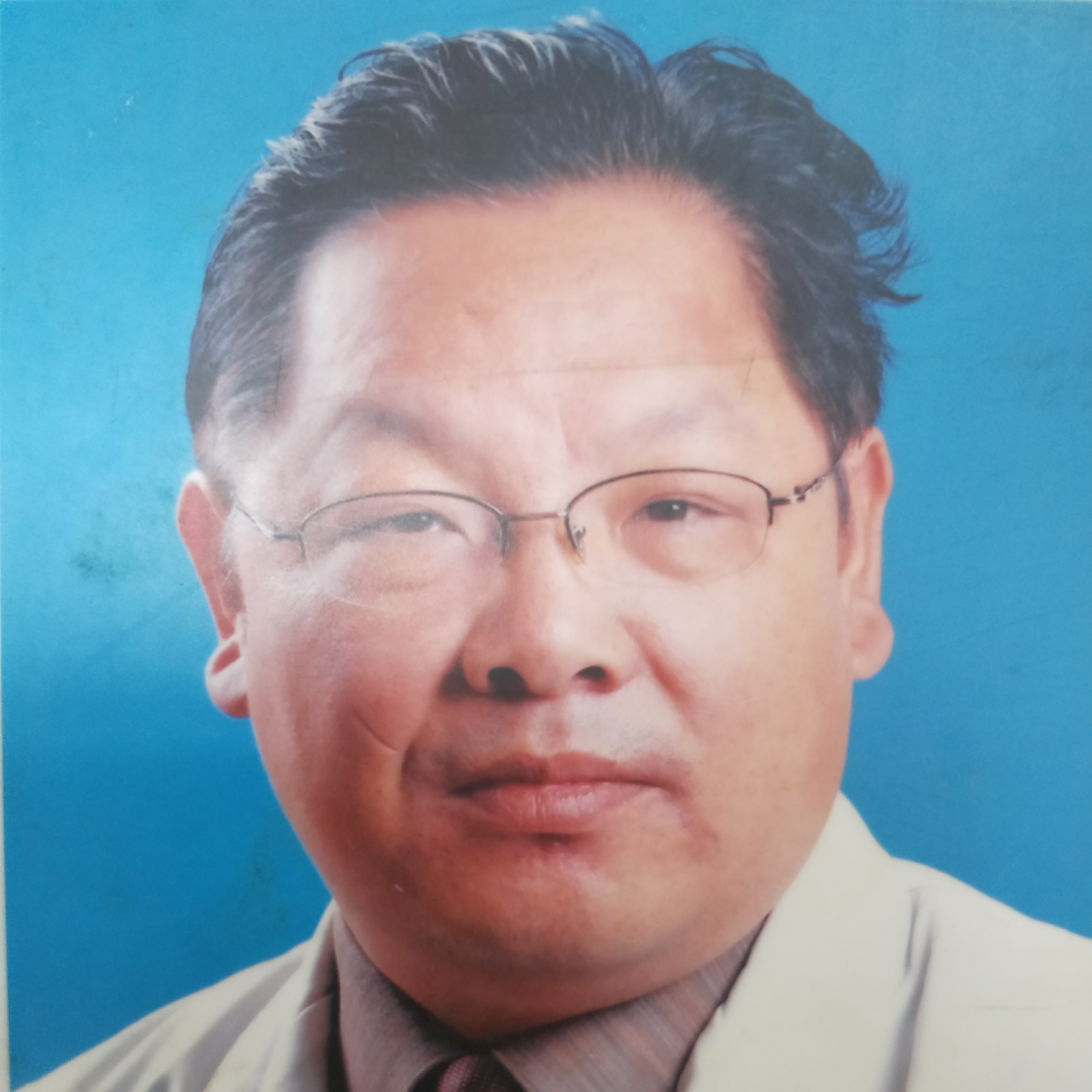 何振伟