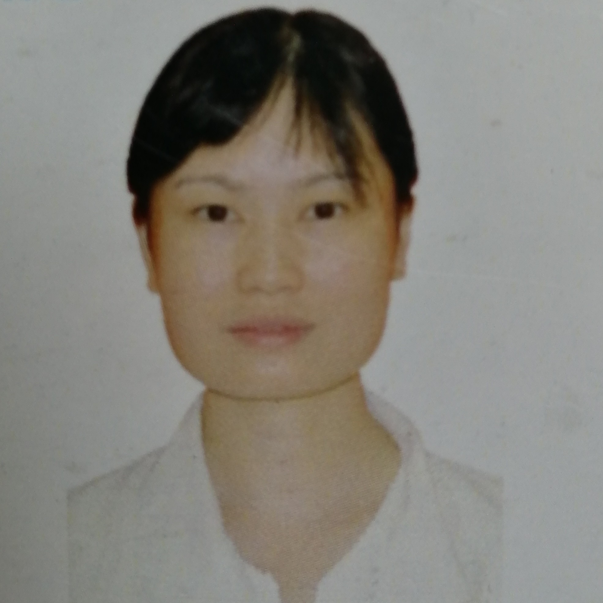 陈莉