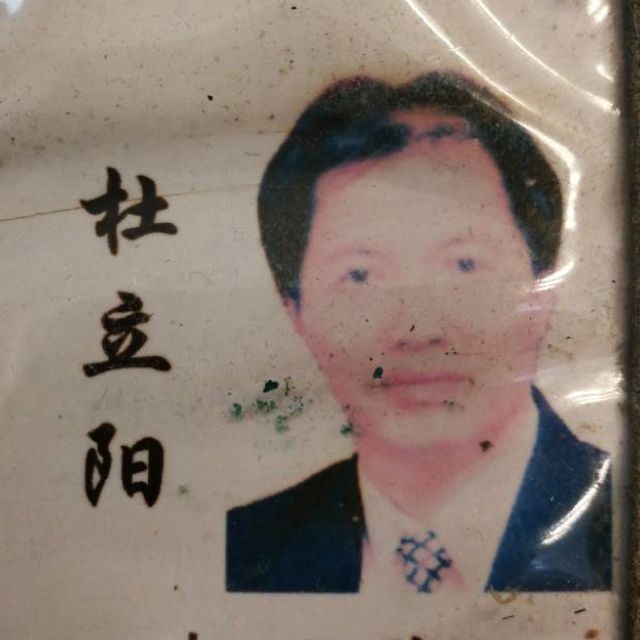 杜立阳