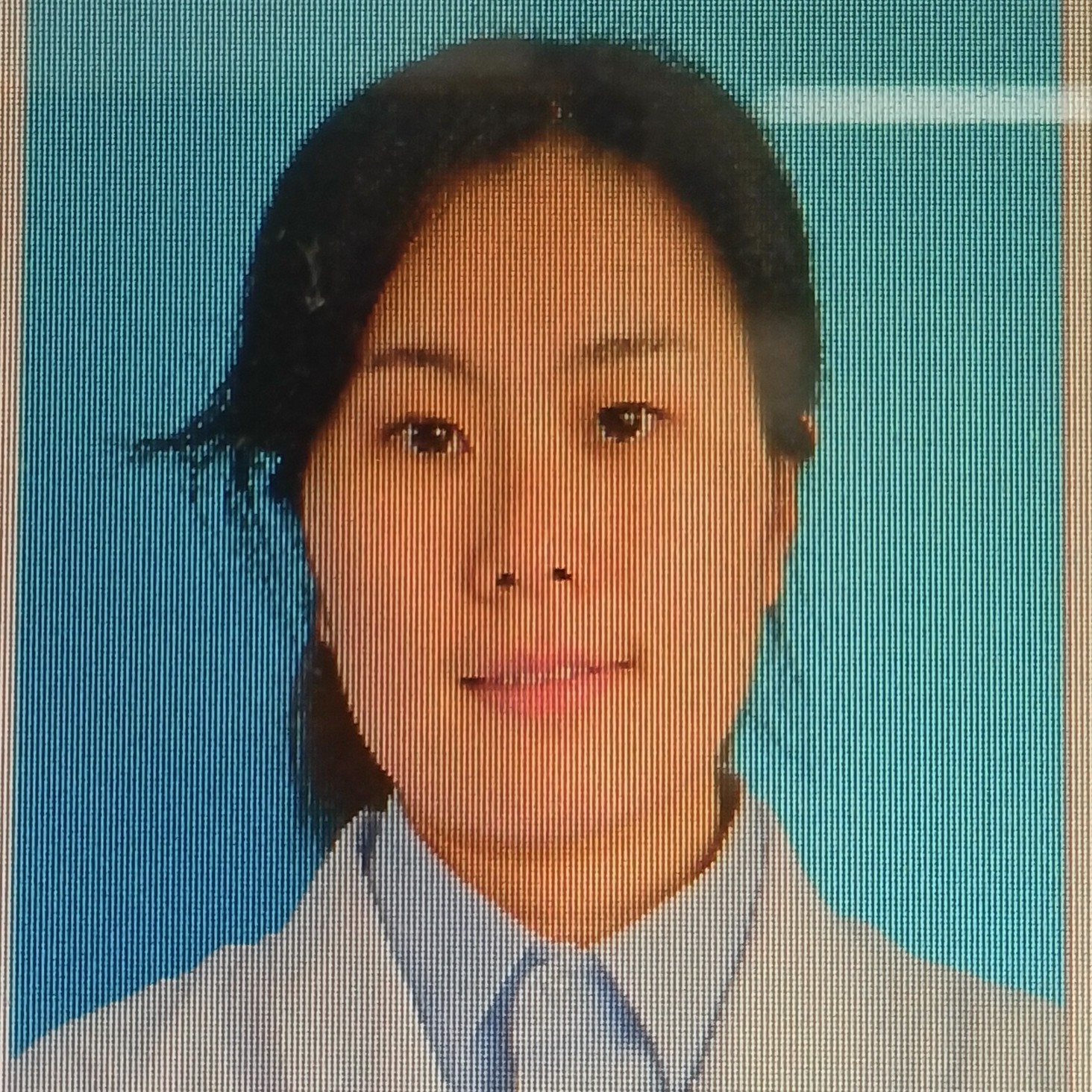 刘菲