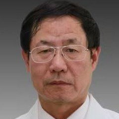 应森林