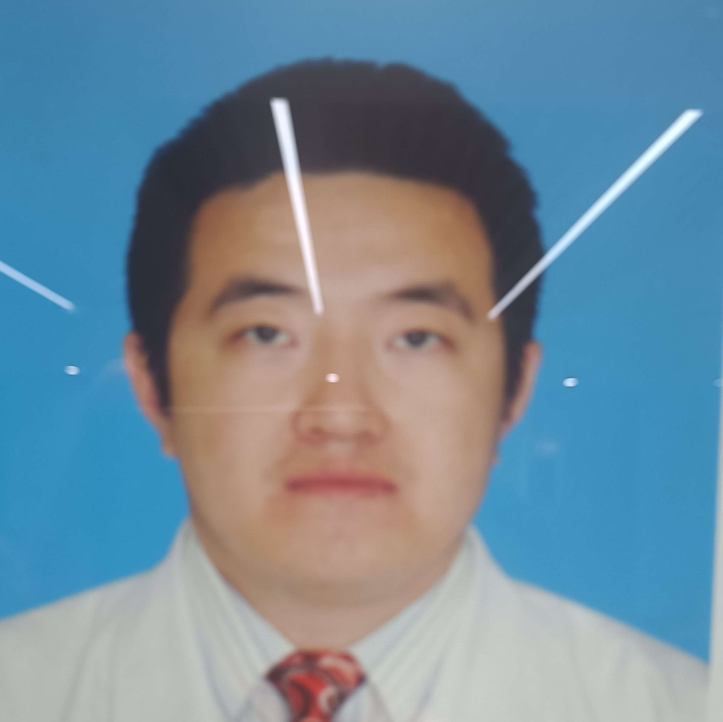 支晨阳