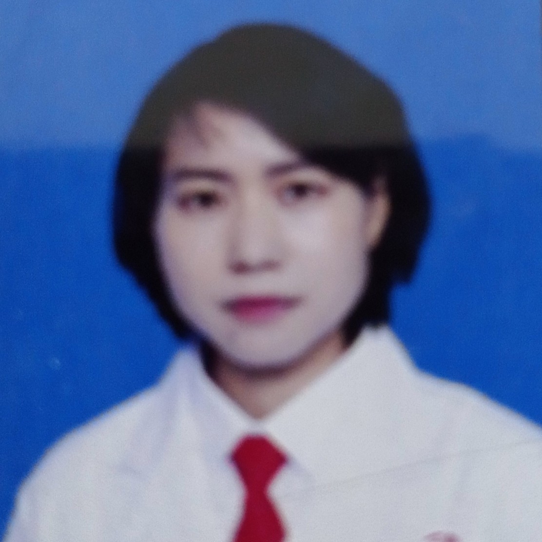 苏菊鸿