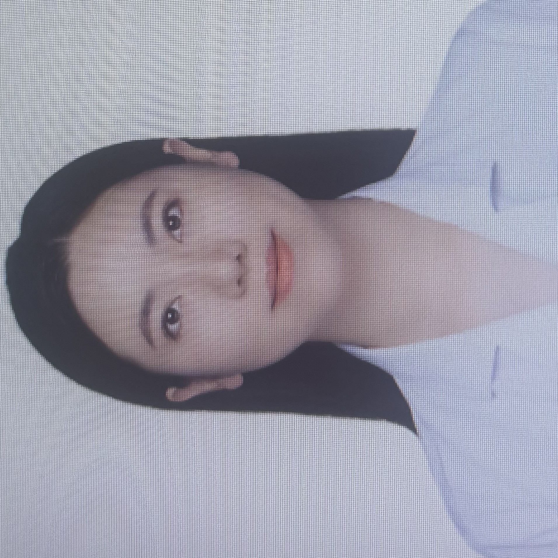 谭晨