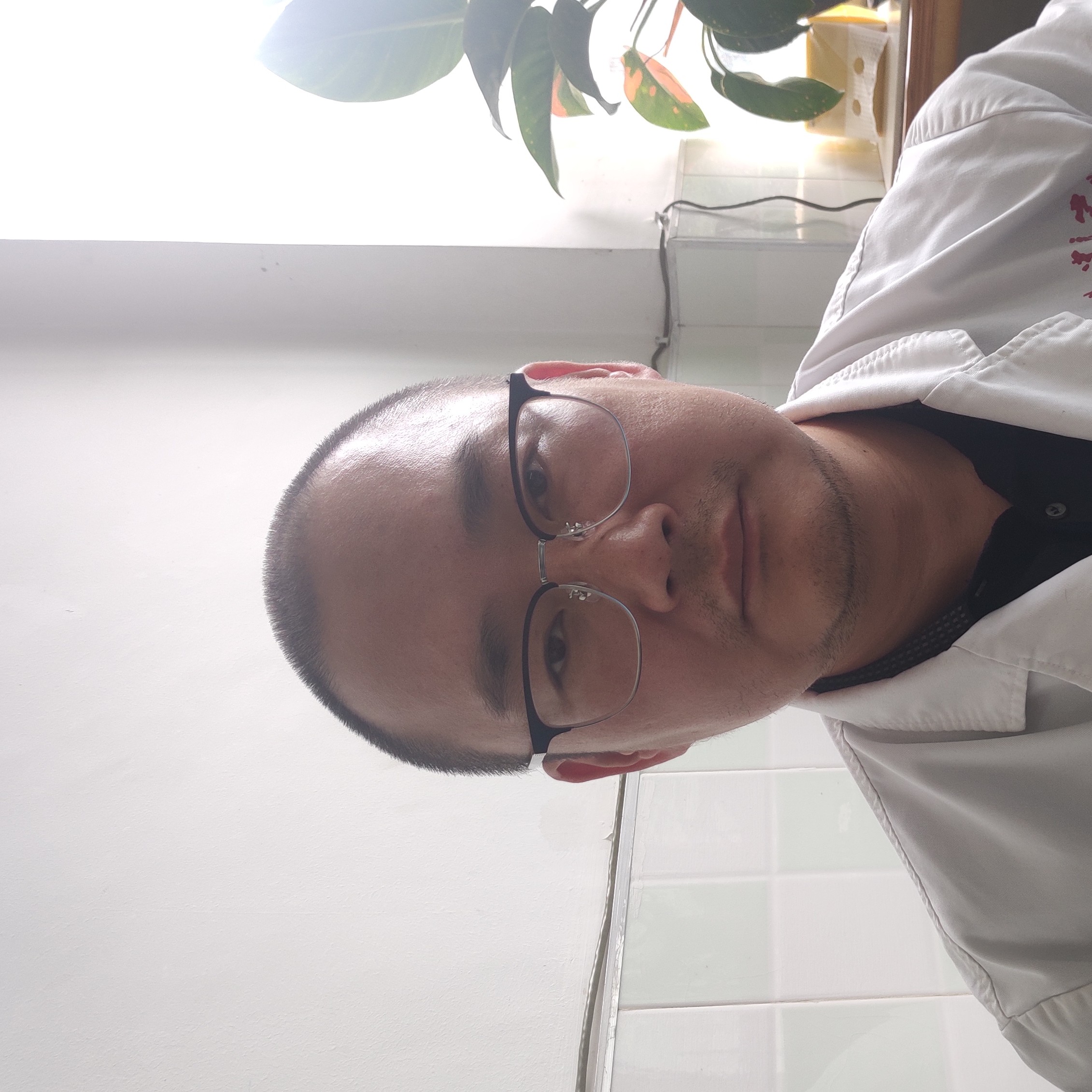 黄鸿飞