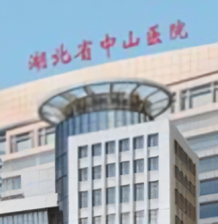 湖北省中山医院