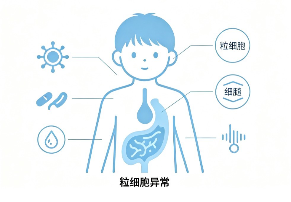 小儿慢性粒细胞白血病