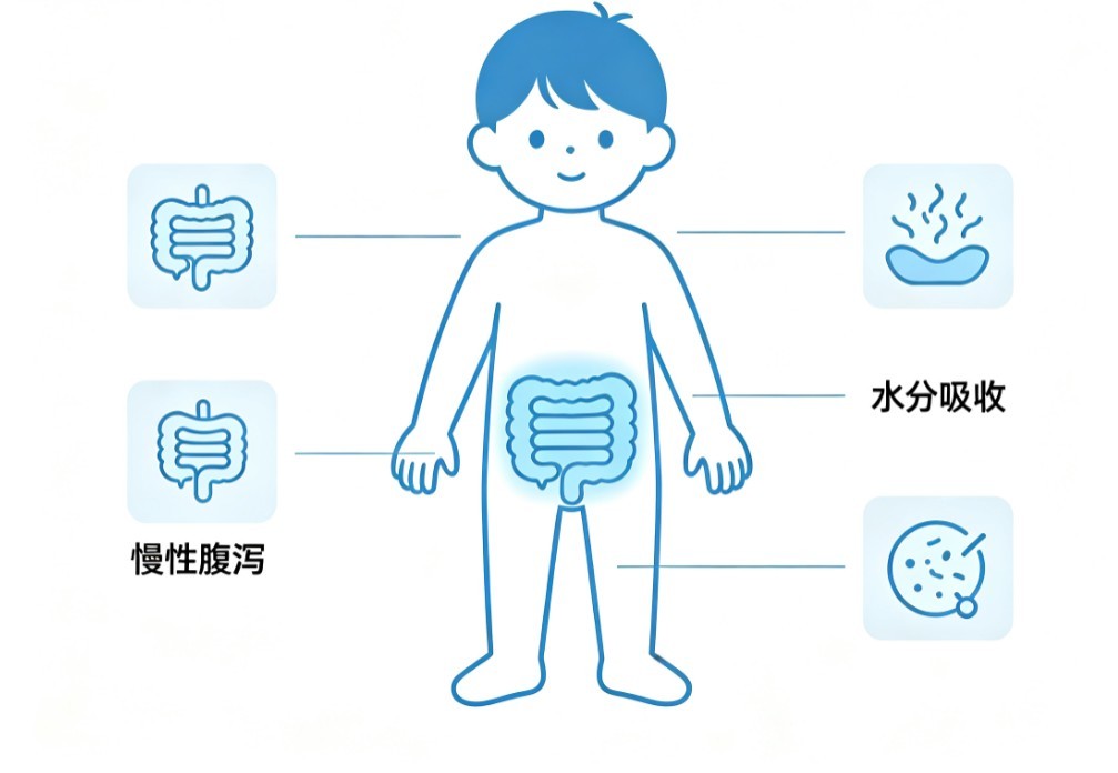 小儿迁延与慢性腹泻