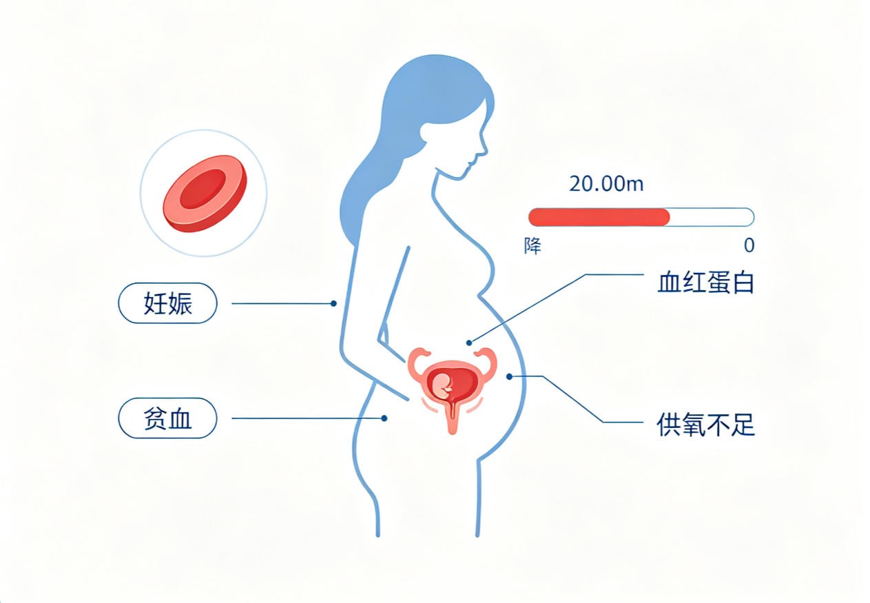 妊娠合并贫血