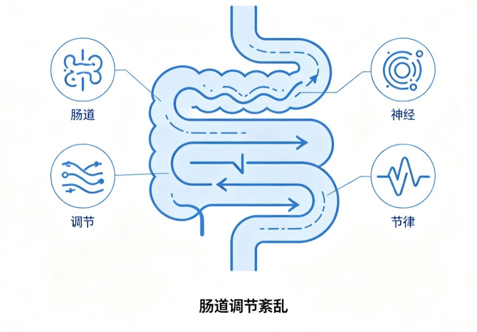 肠功能紊乱