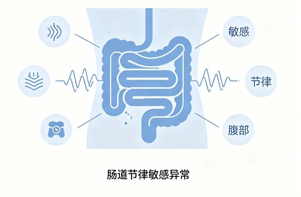 肠易激综合征