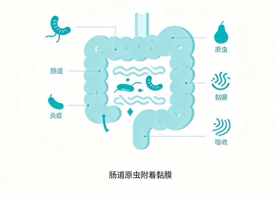 放射性肠炎