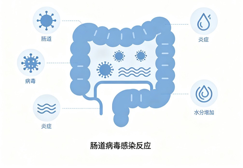 久泄