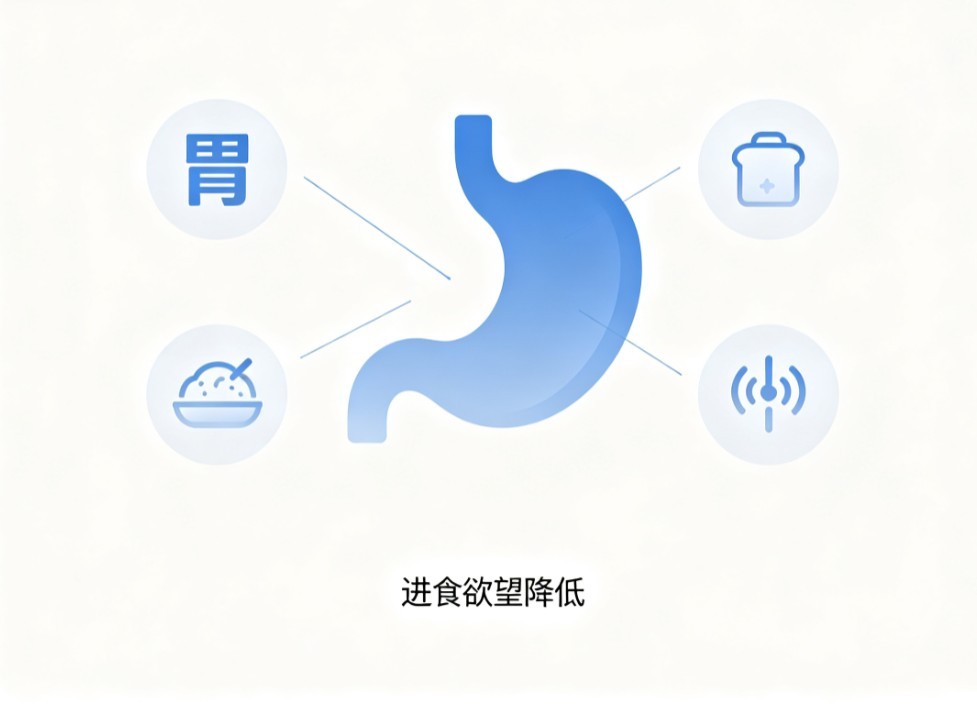 胃纳呆滞