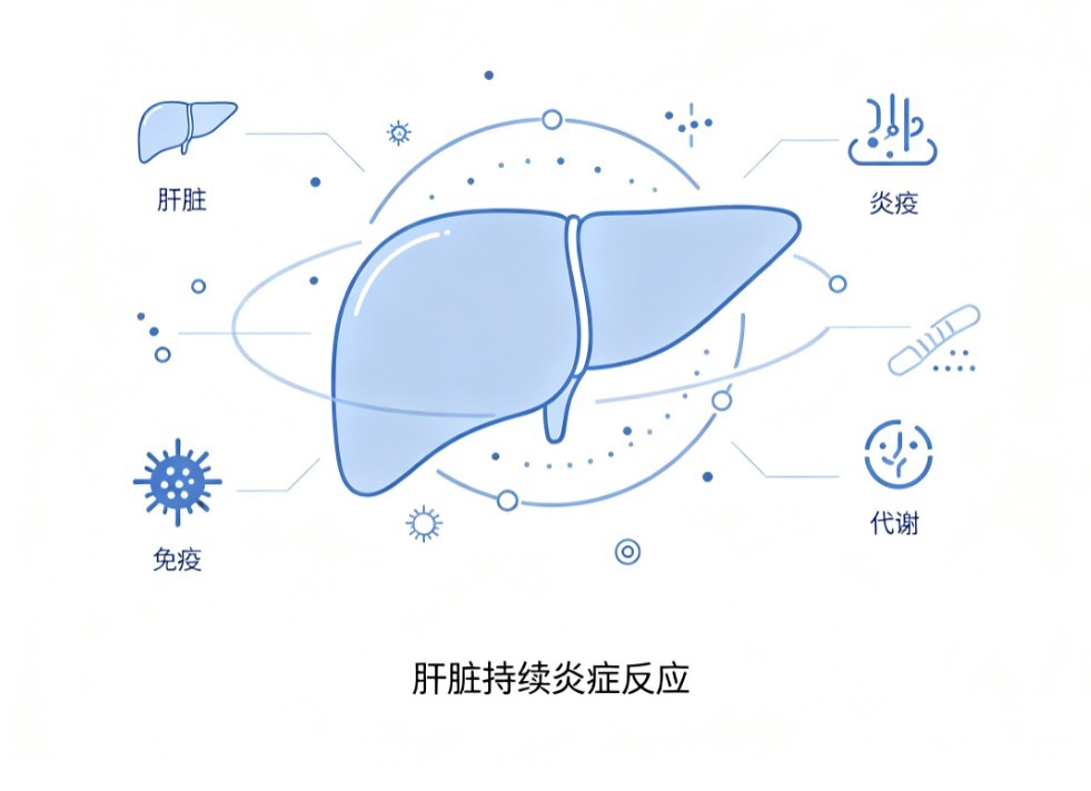 慢性肝炎