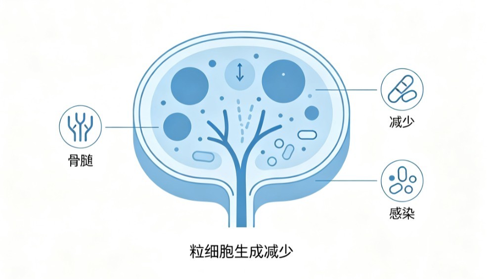 急性粒细胞缺乏