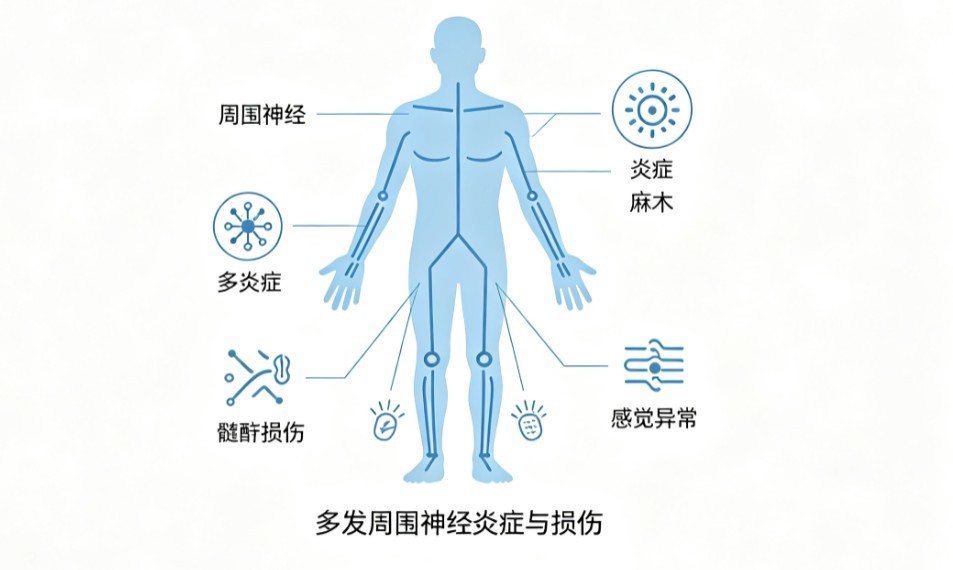 多发性末梢神经炎