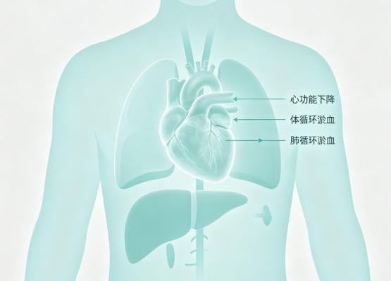 慢性心力衰竭