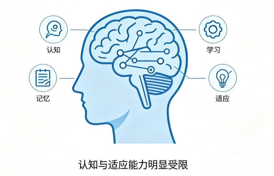 智力障碍