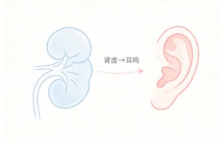 肾虚耳鸣