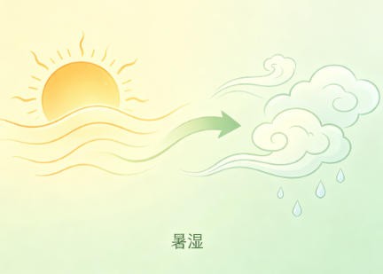 暑湿