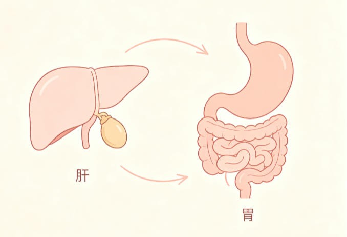 肝胃不和