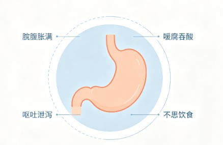 食滞胃脘主证