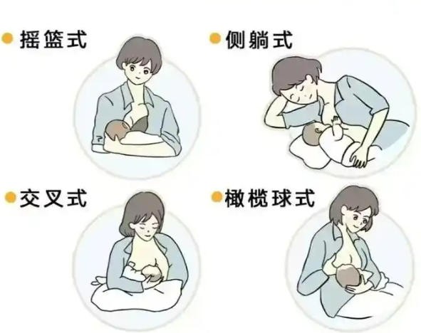 走哺