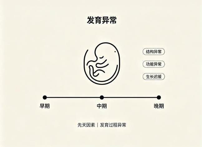 发育异常