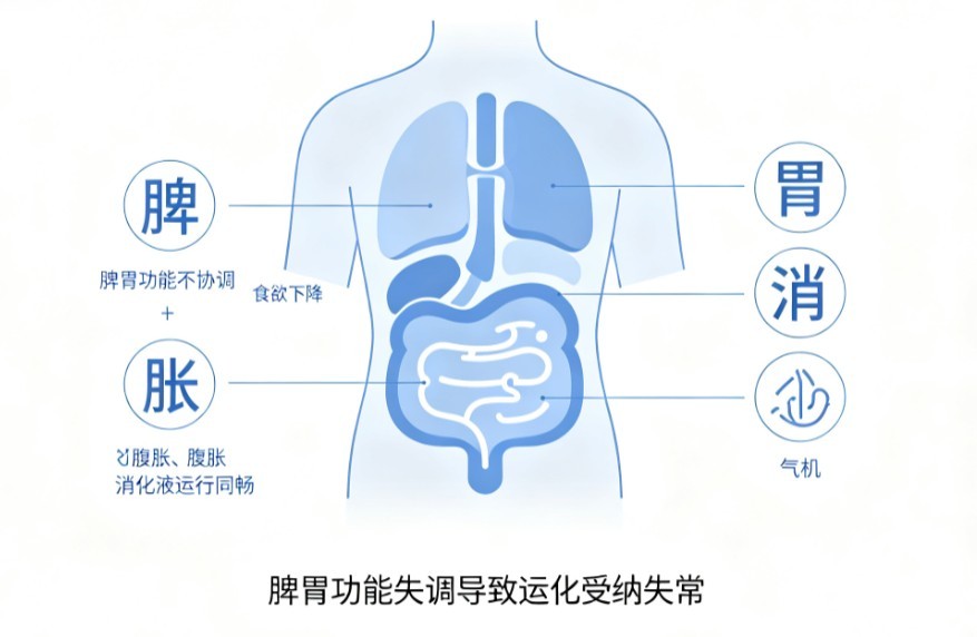脾胃不和