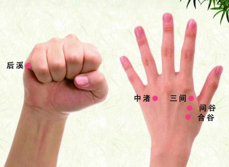 内伤发热患者能否针灸止咳？阴虚火旺为何要慎用灸法？