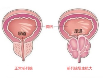 1785478860956471.jpg 屏幕截图 2026-07-31 114507.jpg