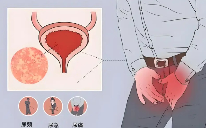 1785478969609177.jpg 屏幕截图 2026-07-30 185136.jpg