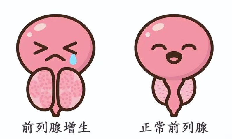 1785481635633150.jpg 屏幕截图 2026-07-31 114855.jpg