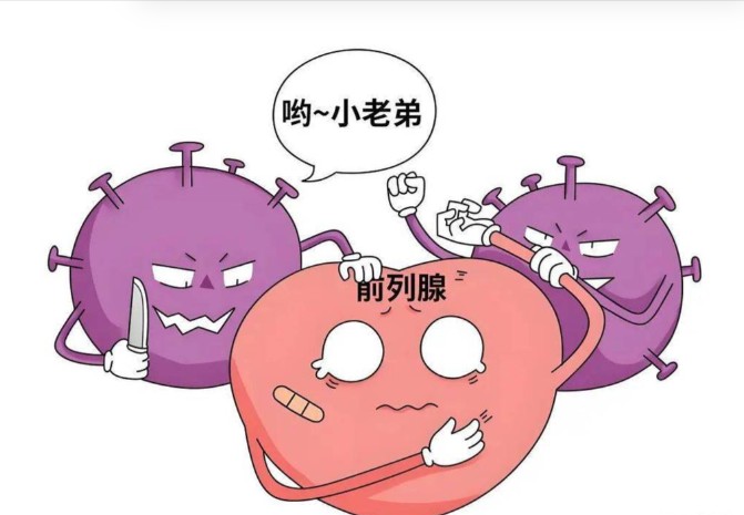 1785724288868896.jpg 屏幕截图 2026-08-03 102932.jpg