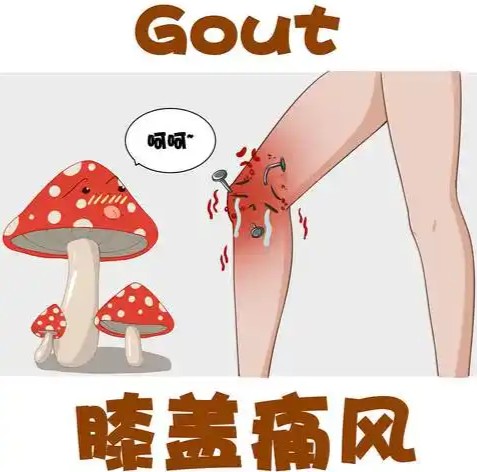 1785740254549368.jpg 屏幕截图 2026-08-03 112739.jpg