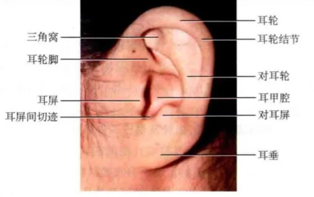 1785748549396008.png image.png