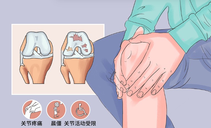 1785750436579748.jpg 屏幕截图 2026-08-03 174026.jpg
