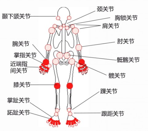 1785751134401945.jpg 屏幕截图 2026-08-03 175521.jpg