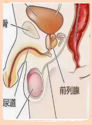 1785752977819868.jpg 屏幕截图 2026-08-03 182524.jpg