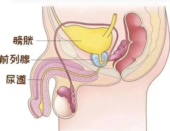 1785753193531348.jpg 屏幕截图 2026-08-03 182806.jpg