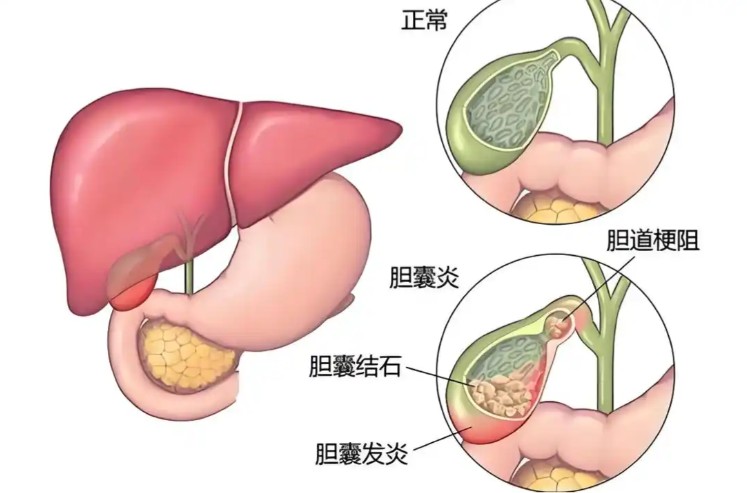 1785812008213995.jpg 屏幕截图 2026-08-04 101020.jpg