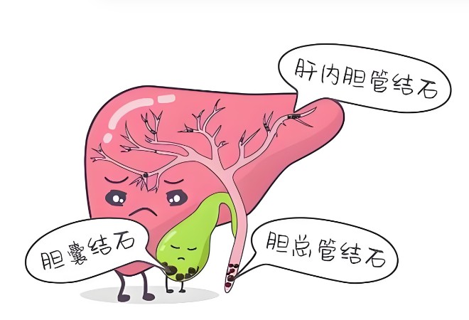 1785812103522127.jpg 屏幕截图 2026-08-04 101121.jpg