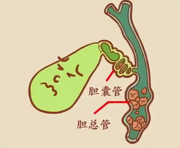 屏幕截图 2026-08-04 101353.jpg