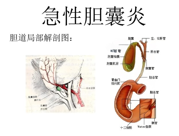 1785812434893900.jpg 屏幕截图 2026-08-04 101817.jpg