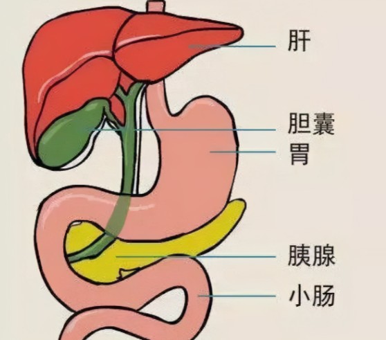 1785815436493529.jpg 屏幕截图 2026-08-04 104625.jpg