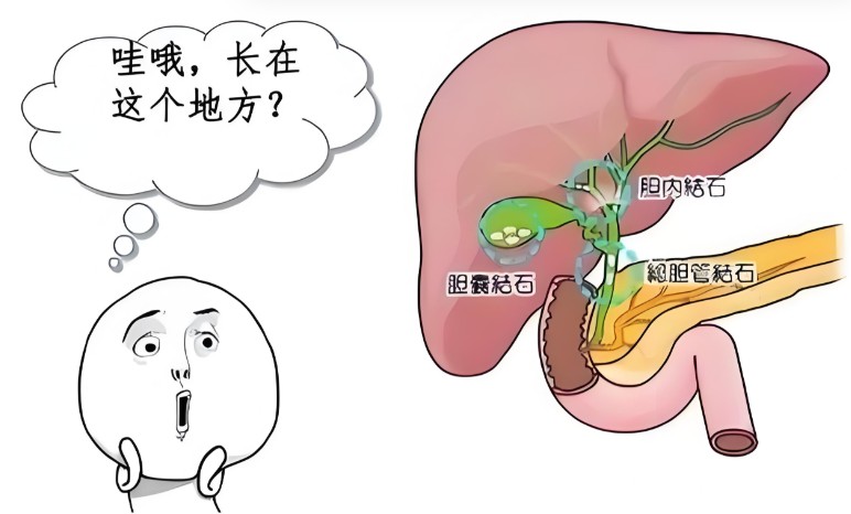 屏幕截图 2026-08-04 115551.jpg