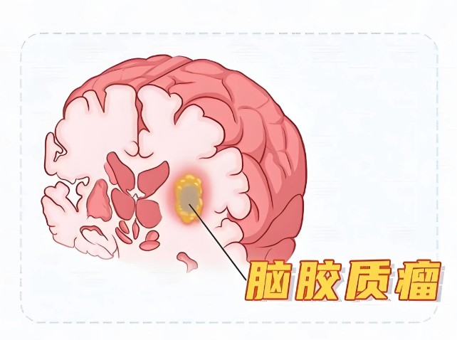1785829054286748.jpg 屏幕截图 2026-08-04 131218.jpg